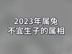 2023年属兔不宜生子的属相:属鸡/属鼠/属龙