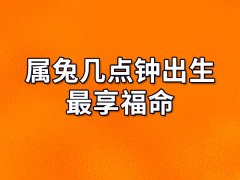 属兔几点钟出生最享福命:卯时/午时/申时/戍时/