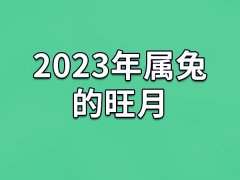 2023年属兔的旺月：二月/四月/六月