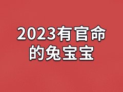 2023有官命的兔宝宝：农历一月/三月/六月/九月