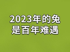 2023年的兔是百年难遇-为什么2023兔年百年难遇