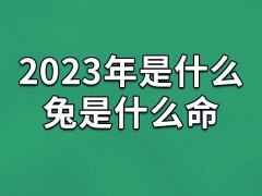 2023年是什么兔是什么命-兔年2023年五行属什么