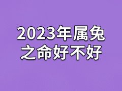 2023年属兔之命好不好：命运平稳(生活无忧)