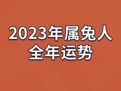 2023年属兔人全年运势：运势低迷(要调整好心态)