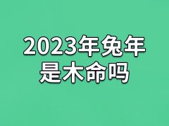 2023年兔年是木命吗-2023兔年是木命还是水命