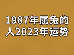 1987年属兔的人2023年运势：运势不好(保持良好心态)