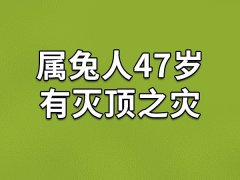 属兔人47岁有灭顶之灾：事业受阻(要谨言慎行)