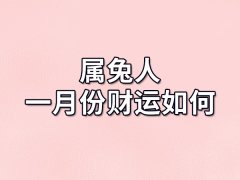 属兔人一月份财运如何-出生一月份属兔人财运怎样