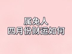 属兔人四月份财运如何-出生四月份属兔人财运怎样