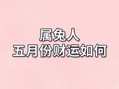 属兔人五月份财运如何-出生五月份属兔人财运怎样