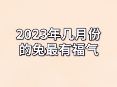 2023年几月份的兔最有福气:四月/六月/十二月