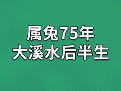 属兔75年大溪水后半生：运势平稳(感情不顺)