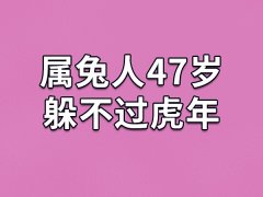 属兔人47岁躲不过虎年-75年属兔虎年会发生什么