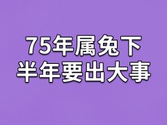 75年属兔下半年要出大事-47岁属兔人2022下半年运势