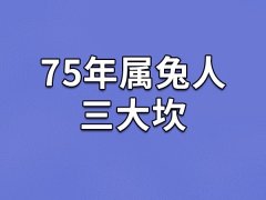 75年属兔人三大坎-75属兔人一生的三大劫难