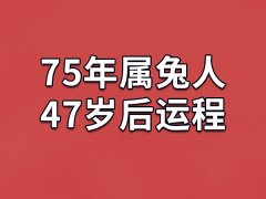 75年属兔人47岁后运程：事业风生水起(感情稳定)