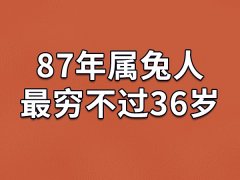 87年属兔人最穷不过36岁-87年属兔36岁后的财运如何