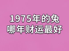 1975年的兔哪年财运最好：2021年/2027年/2030年