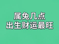 属兔几点出生财运最旺：凌晨一点到三点(一生富贵)