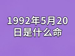 1992年5月20日是什么命：善