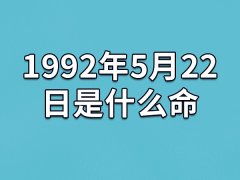 1992年5月22日是什么命：做事持之以恒(易得罪人)