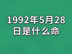 1992年5月28日是什么命：勤