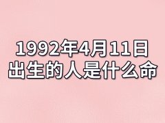 1992年4月11日出生的人是什