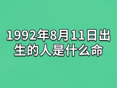 1992年8月11日出生的人是什