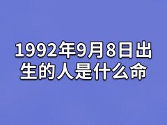 1992年9月8日出生的人是什