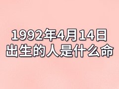 1992年4月14日出生的人是什