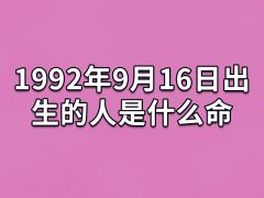 1992年9月16日出生的人是什么命：精打细算(各方面都很优秀)