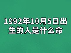 1992年10月5日出生的人是什么命：天资聪慧(财运一般)