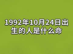 1992年10月24日出生的人是什