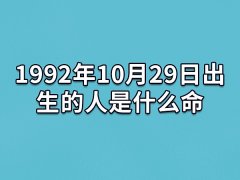 1992年10月29日出生的人是什