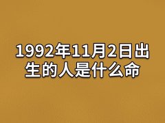 1992年11月2日出生的人是什么命：有不错的领导力(要充实自己)