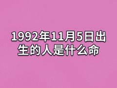 1992年11月5日出生的人是什