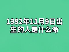 1992年11月9日出生的人是什