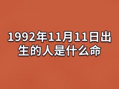 1992年11月11日出生的人是什