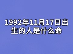 1992年11月17日出生的人是什