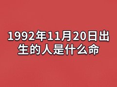 1992年11月20日出生的人是什么命：有进取心(性子比较急)