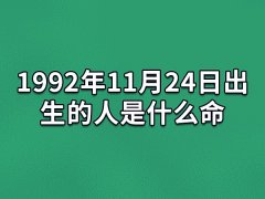 1992年11月24日出生的人是什