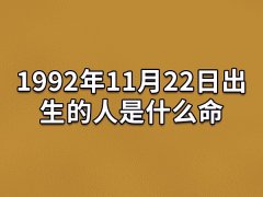 1992年11月22日出生的人是什么命：适合做领导(财运起伏)