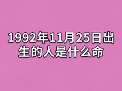 1992年11月25日出生的人是什