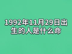 1992年11月29日出生的人是什