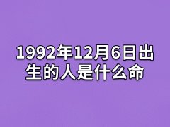 1992年12月6日出生的人是什么命：事业有成(勇于挑战)