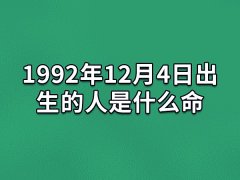 1992年12月4日出生的人是什