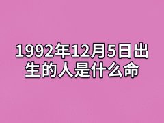 1992年12月5日出生的人是什