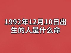 1992年12月10日出生的人是什