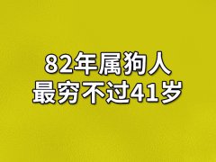 82年属狗人最穷不过41岁-82年属狗人41岁后财运如何