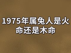 1975年属兔人是火命还是木命-1975年属兔是火命吗